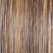 Advanced French Wig by Raquel Welch | Short Heat Friendly Synthetic Pixie