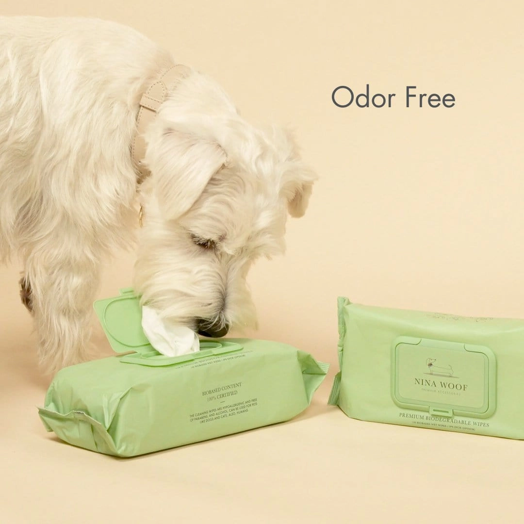Biodegradable and Plant-Based Premium Wipes | Multiple Sizes