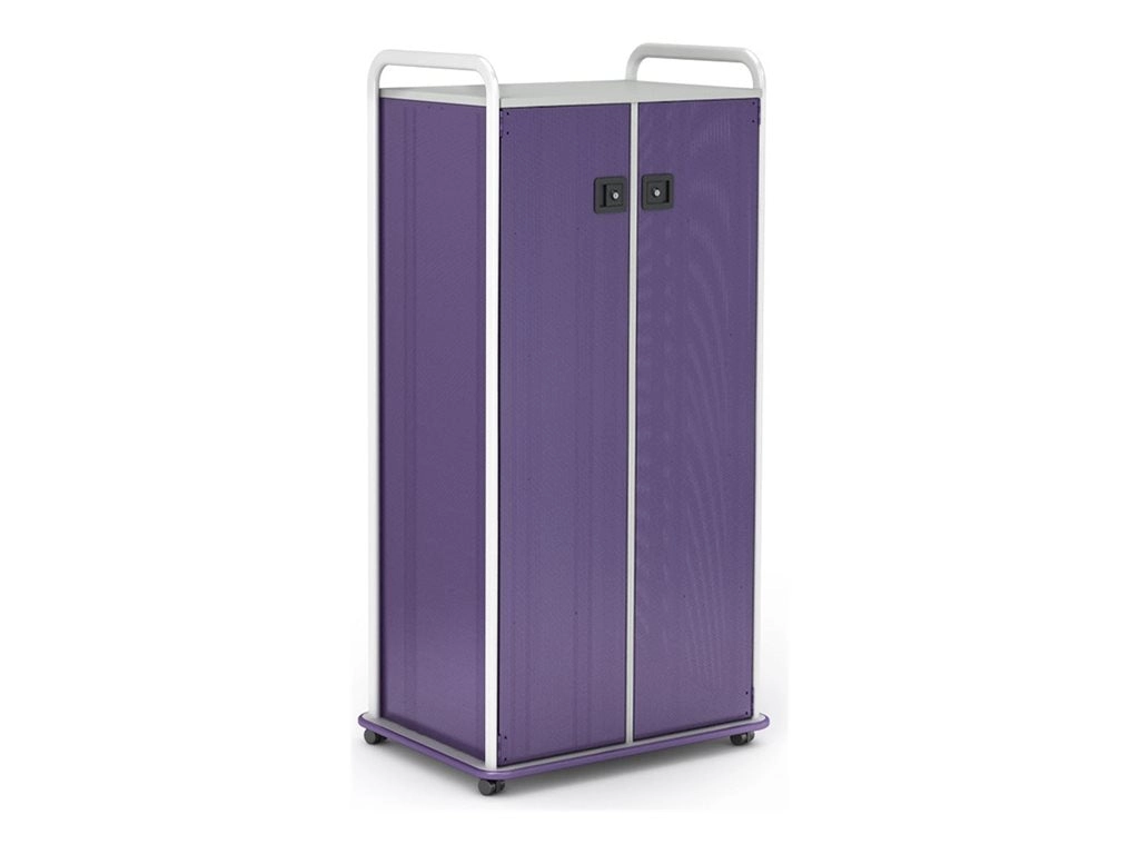 Paragon A&D Crossfit Storage - Trolley - 32 drawers - 2 doors - 16 gauge tubular steel, TFM - frost, lello, wisdom CFD60WDTOTES17-918YZY
