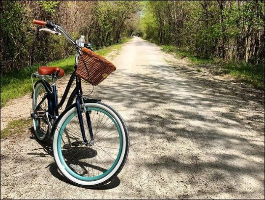 sixthreezero EVRYjourney Women's 26" 7 Speed Steel Step-Through Touring Hybrid Bicycle