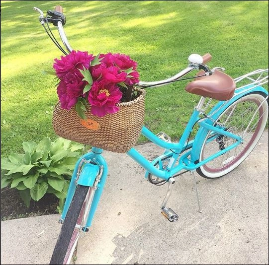 sixthreezero EVRYjourney Women's 26" 7 Speed Steel Step-Through Touring Hybrid Bicycle