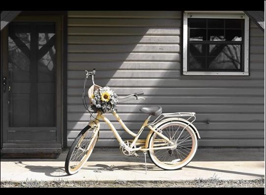 sixthreezero EVRYjourney Women's 26" 7 Speed Steel Step-Through Touring Hybrid Bicycle