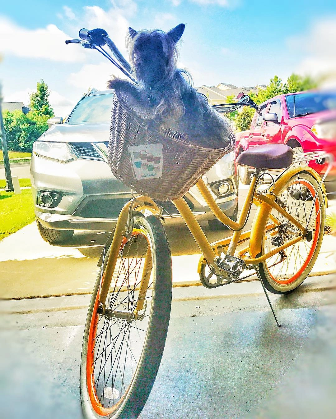 sixthreezero EVRYjourney Women's 26" 7 Speed Steel Step-Through Touring Hybrid Bicycle