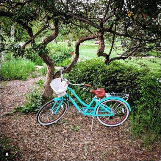 sixthreezero EVRYjourney Women's 26" 7 Speed Steel Step-Through Touring Hybrid Bicycle