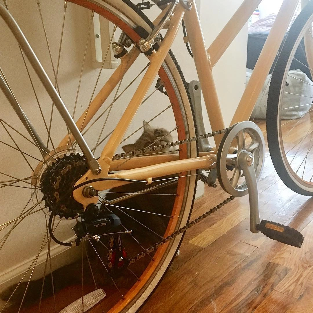 sixthreezero EVRYjourney Women's 26" 7 Speed Steel Step-Through Touring Hybrid Bicycle